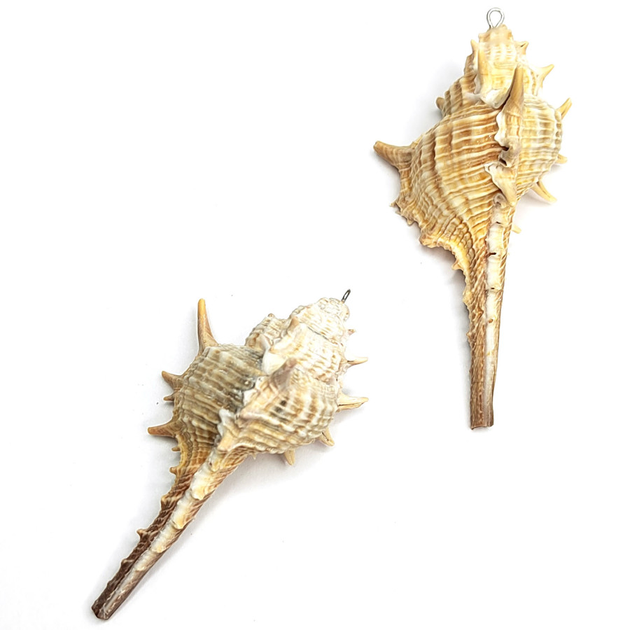 Крупная подвеска Ракушка 76х40 мм, штука