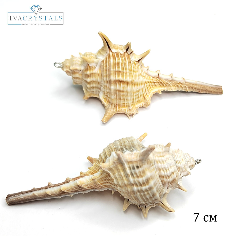 Крупная подвеска Ракушка 76х40 мм, штука