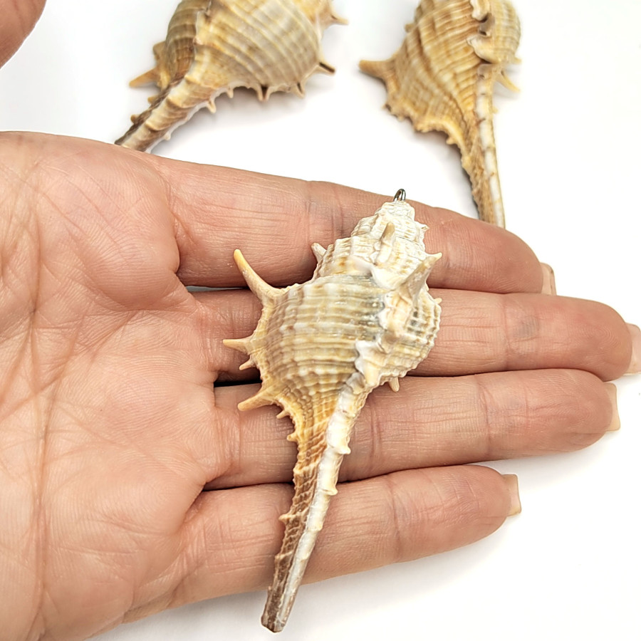 Крупная подвеска Ракушка 76х40 мм, штука