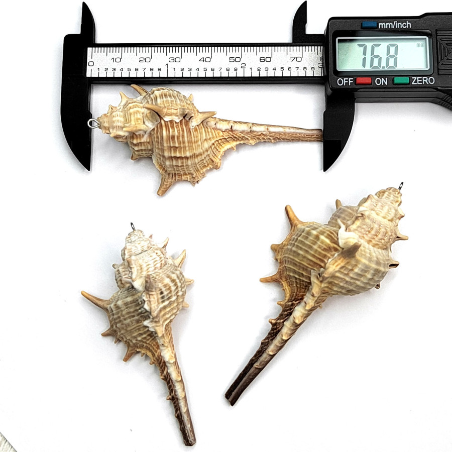 Крупная подвеска Ракушка 76х40 мм, штука