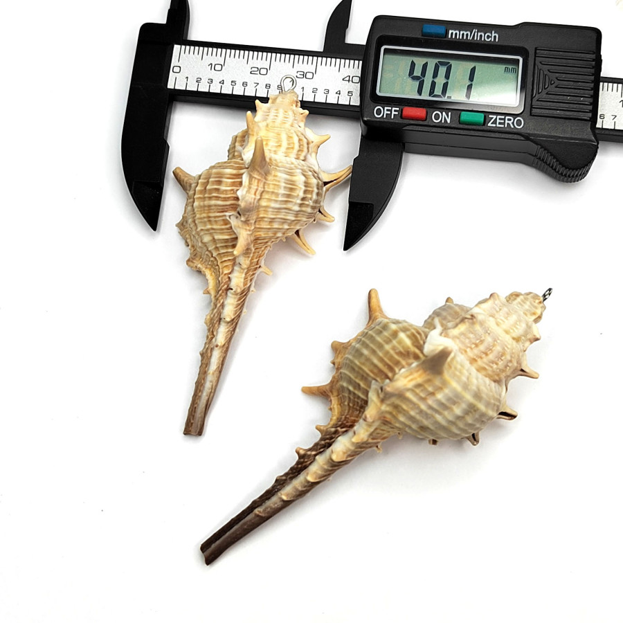 Крупная подвеска Ракушка 76х40 мм, штука