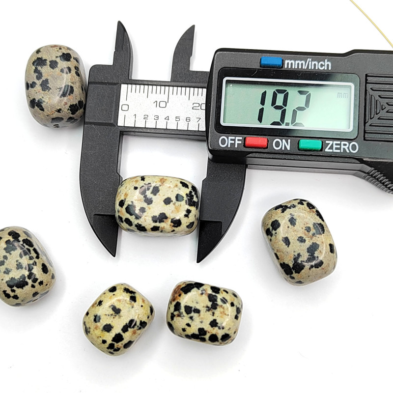 Яшма далматиновая натуральная 19х13 мм